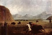 Buffalo Hunt